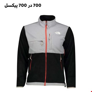 کاپشن مردانه نورث فیس